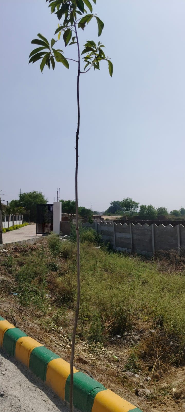 Shree Urban City